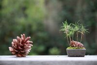 Zdroj: Pinterest