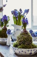 Zdroj: Pinterest