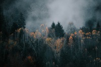 Zdroj: Pexels
